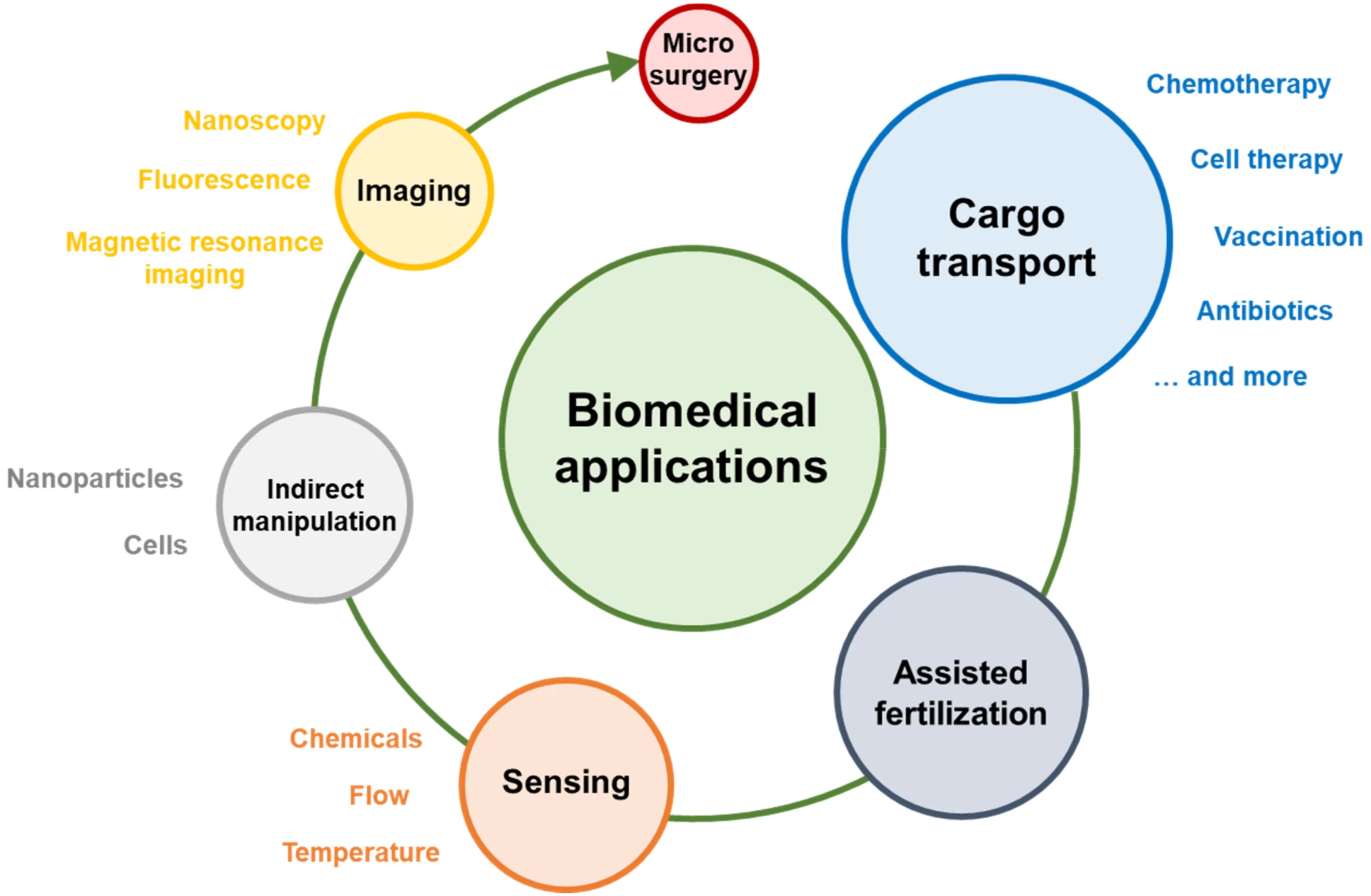 Biomedical Applications Advancing Healthcare Through Technology