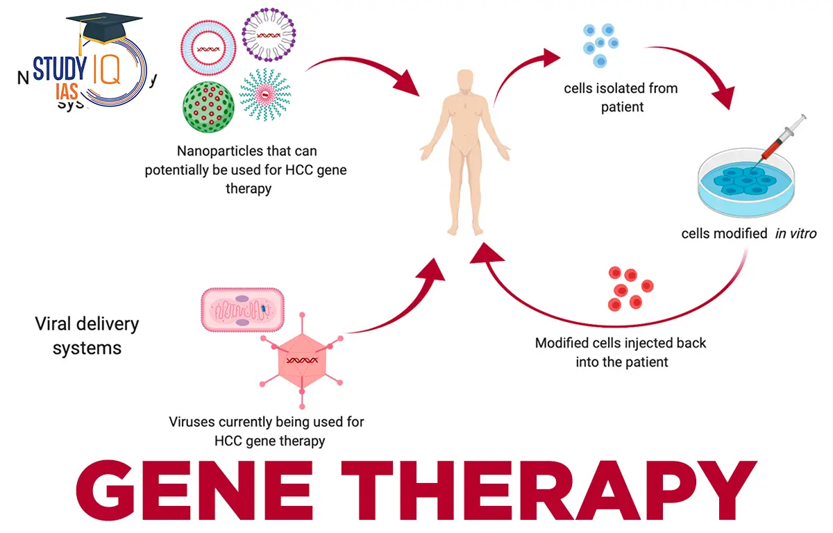 Gene Therapy A New Frontier in Medicine