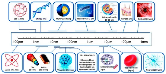 Nanoscience The Study of the Small with Big Potential